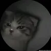 xchronot_me