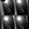 empiiii_10.1
