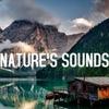 Nature’s Sounds