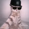 akieditz123