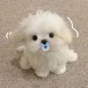 lia_pagar