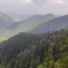 syedusmanali240