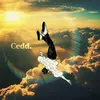 ced._.1