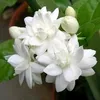 user1320500914153