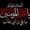 user8694859298521