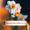 emanmohammed5623