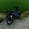 xselcuy02