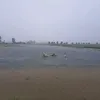 dy8d310xu9li