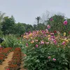 phoang0910