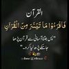 ylaiba599