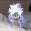 user4212162852095