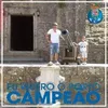 marcelovieira2355