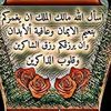shldd3013