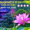 thanhvo1171