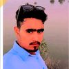 dobrenalaysarkar