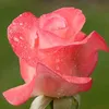 my_dy_cr05