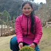 sangitamijar17