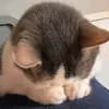 omgmilo.9