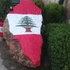 alibader266