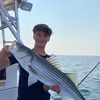 jackwalton760