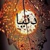 dy7p74lvmfm2