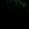 azdcgb_56