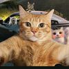 cheeseburger_yt