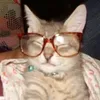 jde_laurente05