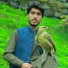 naseemafridi56