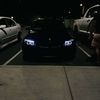 shadyn_sanborn