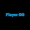 playergo28