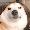 iachay4mua