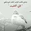 ahm_12op