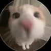 dy8q2zhk1rdq