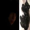 _frinsi47_