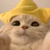 joeapriltalledodi
