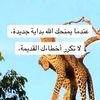 mostefaouifarid