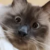 likatrina23