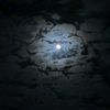 _tanvir_ahmed_033