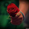 dyqqat62f7y7