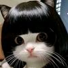 user5769020831180meycan