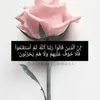 dy2ikw8uqcwr