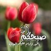 abo_3omar63