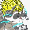 ss2racoon
