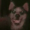 marvencrazyvideos