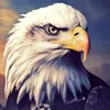 user9613685812817