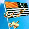 rameezawan173