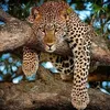 deysi_190690