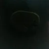 user658909020509