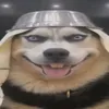 kaioz_16y